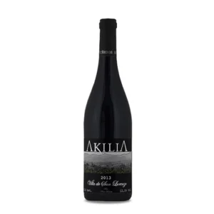Akilia Villa de San Lorenzo 2023