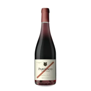 Anselmo Mendes Pardusco 2024