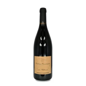 Antoine Sanzay Saumur-Champigny La Paterne 2023