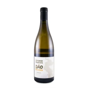 António Madeira Branco 2023