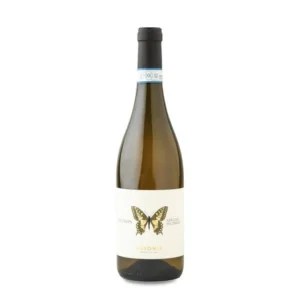 Ausonia Abruzzo Pecorino Machaon 2023