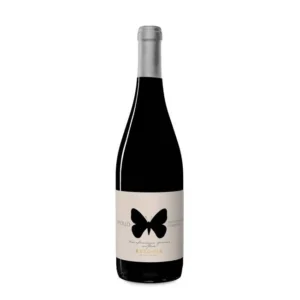 Ausonia Montepulciano d'Abruzzo Apollo 2022
