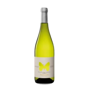 Ausonia Trebbiano d'Abruzzo Apollo 2023