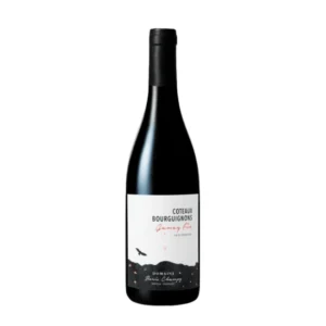 Boris Champy Coteaux Bourguignons Gamay Fin 2023