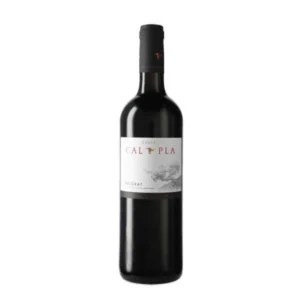 Cal Pla Negre 2022