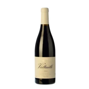 Castro Ventosa Valtuille Vino de Villa 2024