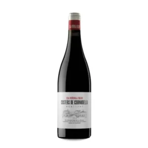 Costers de Cornudella 2021