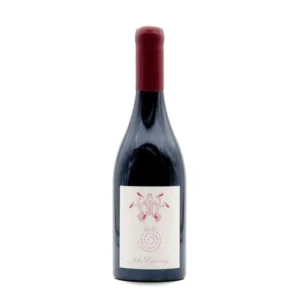 Domaine Jules Desjourneys Beaujolais Rouge 2021