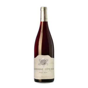 Domaine Sylvain Bzikot Bourgogne Cote D'Or Pinot Noir 2020 2022