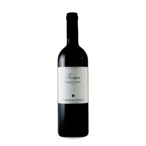Domenico Clerico Barbera d'Alba Trevigne 2021