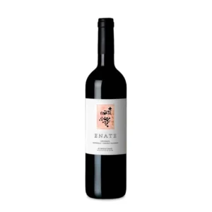 Enate Crianza 2021