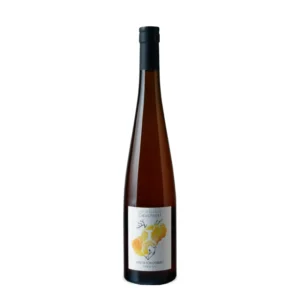 Geschickt Riesling G.C. Wineck-Schlossberg 2020