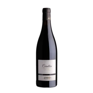 José Antonio García Viticultor Corullón Vino de Villa 2022