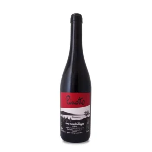 Le Coste Pinotto 2022