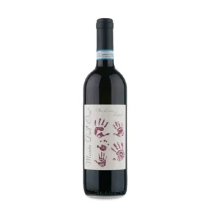 Monte dall'Ora Valpolicella Classico Saseti 2022