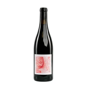 Nicolas Mariotti Bindi Cantina di Torra Rouge 2024