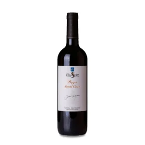 Pago de Santa Cruz Gran Reserva 2019