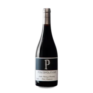 Pedro Parra y Familia P Pencopolitano 2019 2020