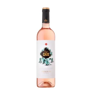 Petit Caus Rosat 2025