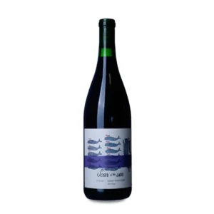 Scar of the Sea Bassi Vineyard Syrah 2022 2021