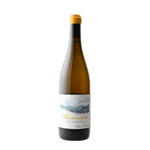 Thibaud Boudignon Clos de la Hutte Savannières 2023