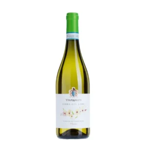Vignamato Terra delle Lame Verdicchio dei Castelli di Jesi Classico 2025