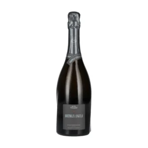 Bortolin Angelo Superiore Di Cartizze Valdobbiadene Prosecco Dry DOCG 2024