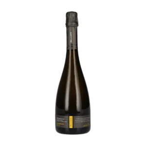 Paladin Prosecco Millesimato Extra Dry DOC 2025